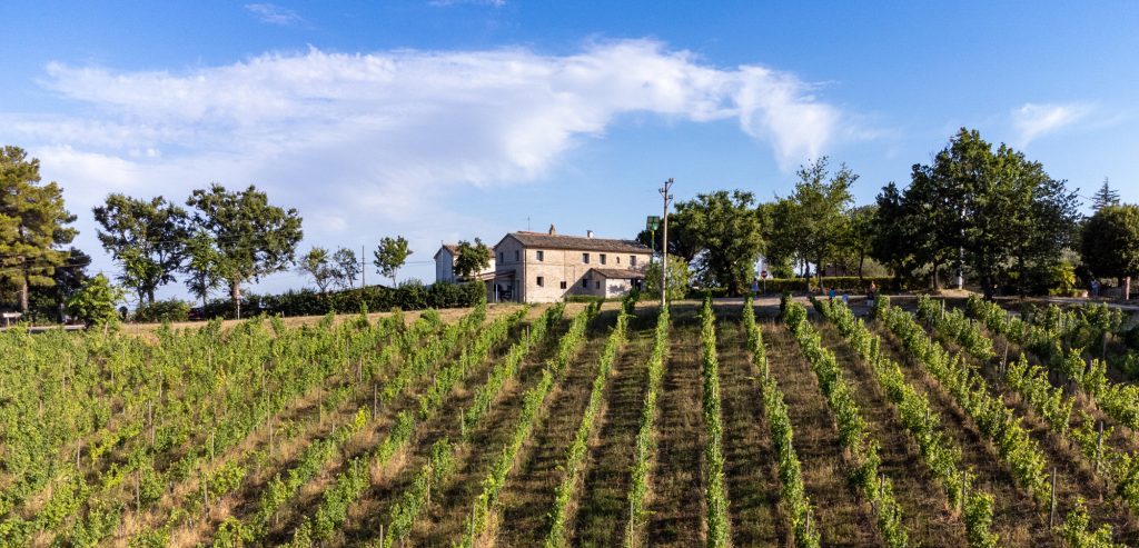 Casale in pietra circondato da vigneti verdi sulle colline sotto un cielo azzurro limpido
